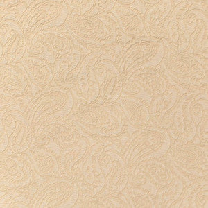 D3580 by Charlotte Fabric