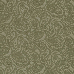 D3584 by Charlotte Fabric