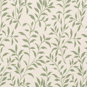 D3586 by Charlotte Fabric