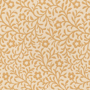 D3598 by Charlotte Fabric