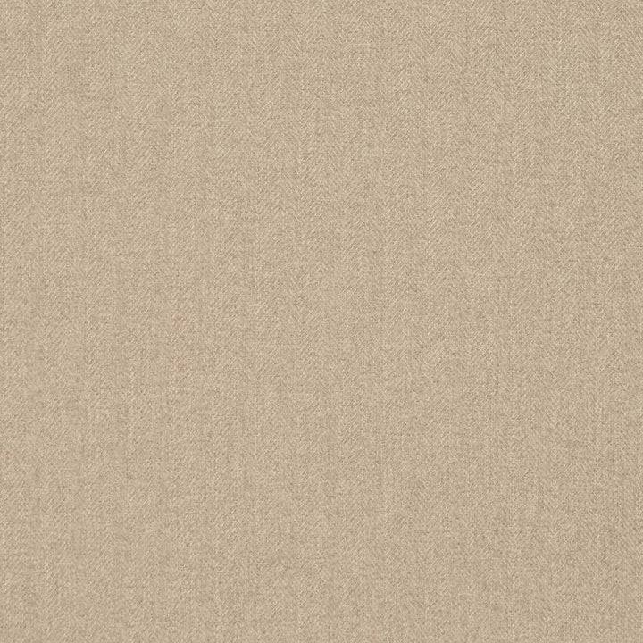 D3610 by Charlotte Fabric Mid Century Modern 100% Polyester Asia Exceeds 200,000 Wyzenbeek Rubs (Heavy Duty) Horizontal .75" 54 Inches - Fabric Carolina -