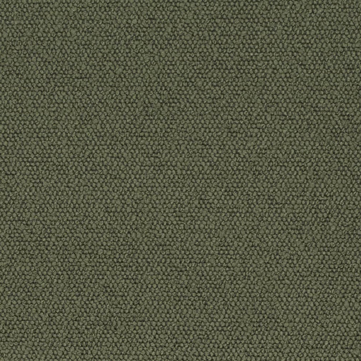 D3628 by Charlotte Fabric Mid Century Modern 100% Polyester Asia Exceeds 60,000 Wyzenbeek Rubs (Heavy Duty) No Repeat 54 Inches - Fabric Carolina -