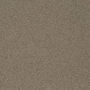 D3634 by Charlotte Fabric