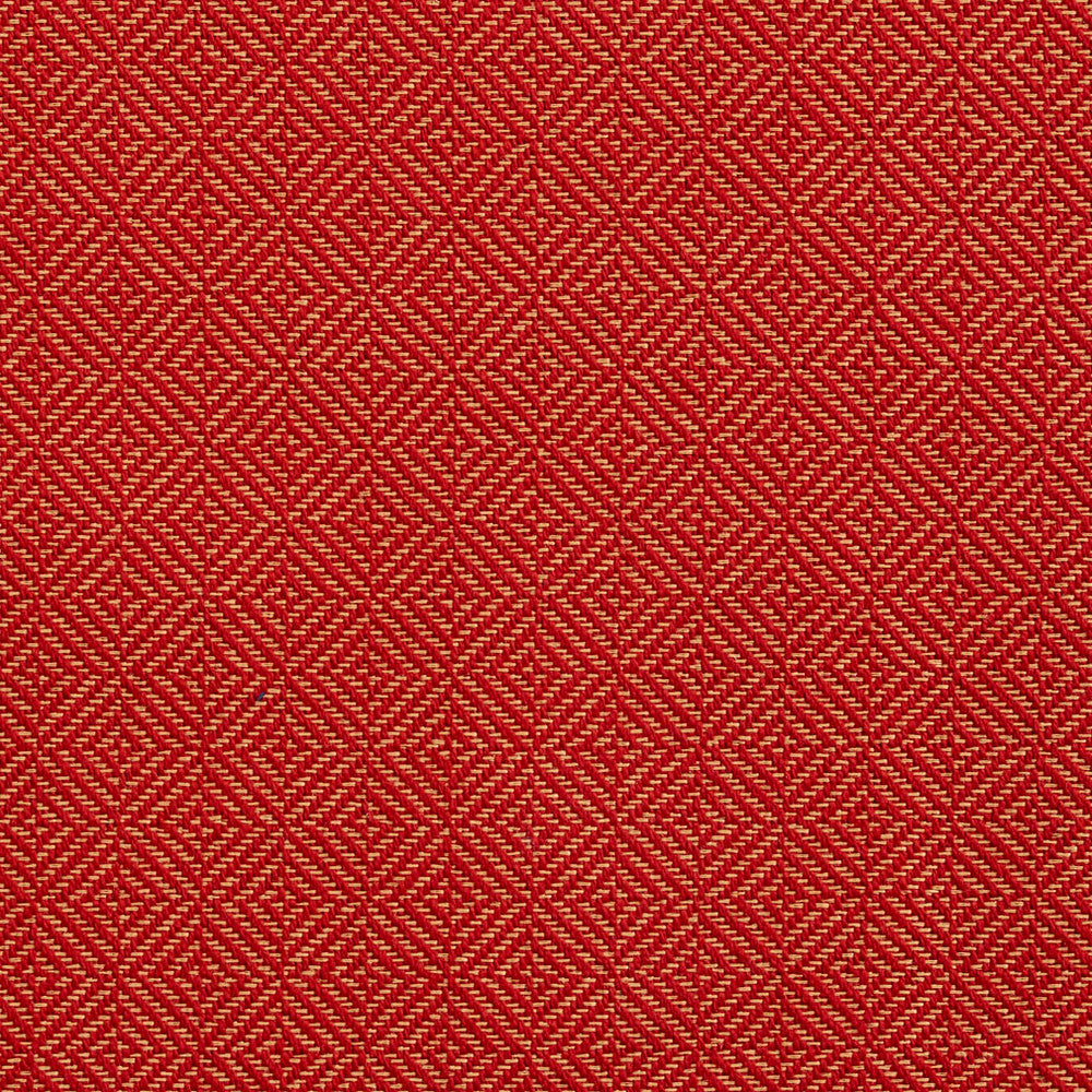 D363 Spice by Charlotte Designer Fabric Crypton Volume 2 73% Cotton, 27% Polyester Made In USA Exceeds 126,000 Wyzenbeek Rubs (Heavy Duty) Horizontal: 1" x Vertical: 1" 54 Inches - Swanky Fabrics -