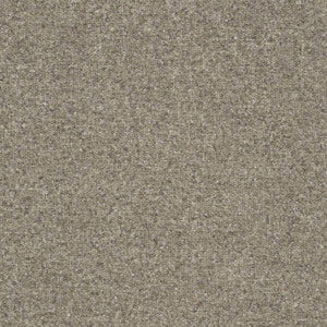 D3648 by Charlotte Fabric