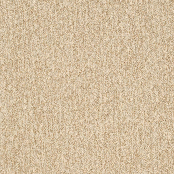 D3653 by Charlotte Fabric Mid Century Modern 100% Polyester USA Exceeds 180,000 Wyzenbeek Rubs (Heavy Duty) No Repeat 54 Inches - Fabric Carolina -
