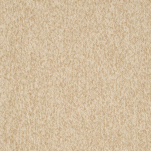 D3653 by Charlotte Fabric