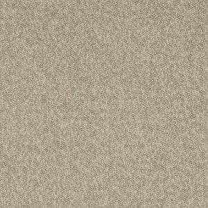 D3655 by Charlotte Fabric