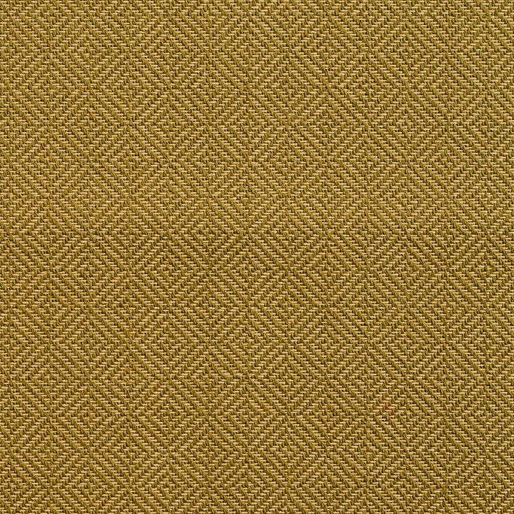 D365 Moss by Charlotte Fabric Crypton Volume 2 73% Cotton, 27% Polyester Made In USA Exceeds 126,000 Wyzenbeek Rubs (Heavy Duty) </p><p>Repeat: Horizontal: 1" x Vertical: 1" 54 Inches - Fabric Carolina -