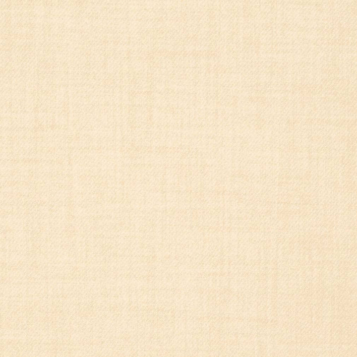 D3670 by Charlotte Fabric Mid Century Modern 100% Polyester Asia Exceeds 100,000 Wyzenbeek Rubs (Heavy Duty) No Repeat 54 Inches - Fabric Carolina -