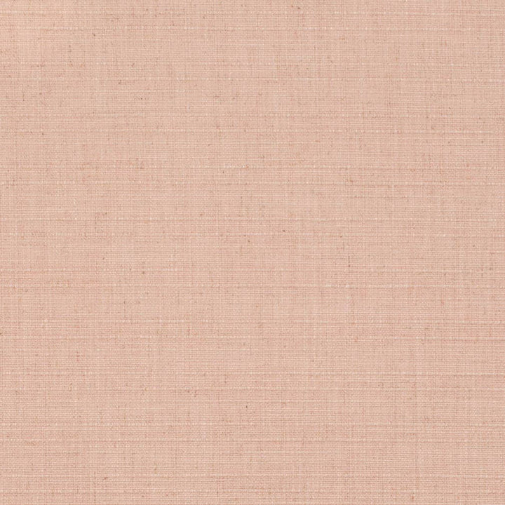 D3677 by Charlotte Fabric Linen Looks 95% Polyester, 5% Linen Asia Exceeds 106,000 Wyzenbeek Rubs (Heavy Duty) No Repeat 54 Inches - Fabric Carolina -