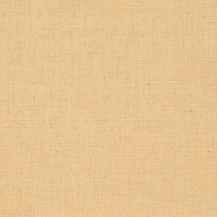 D3678 by Charlotte Fabric Linen Looks 95% Polyester, 5% Linen Asia Exceeds 106,000 Wyzenbeek Rubs (Heavy Duty) No Repeat 54 Inches - Fabric Carolina -