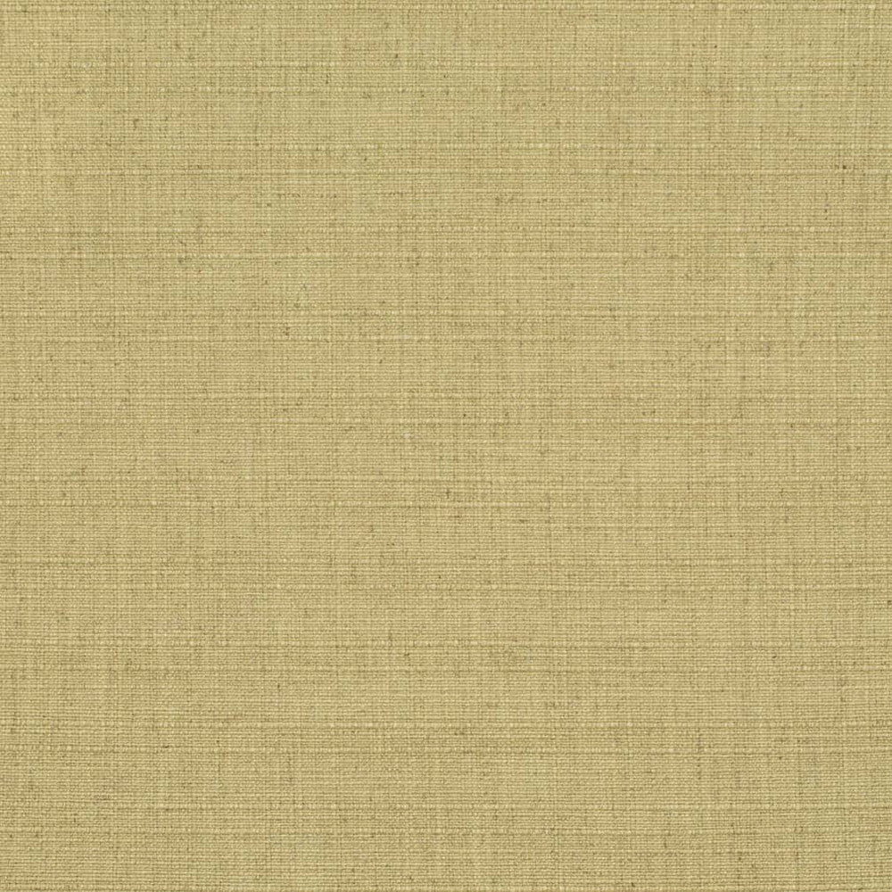 D3680 by Charlotte Fabric Linen Looks 95% Polyester, 5% Linen Asia Exceeds 106,000 Wyzenbeek Rubs (Heavy Duty) No Repeat 54 Inches - Fabric Carolina -