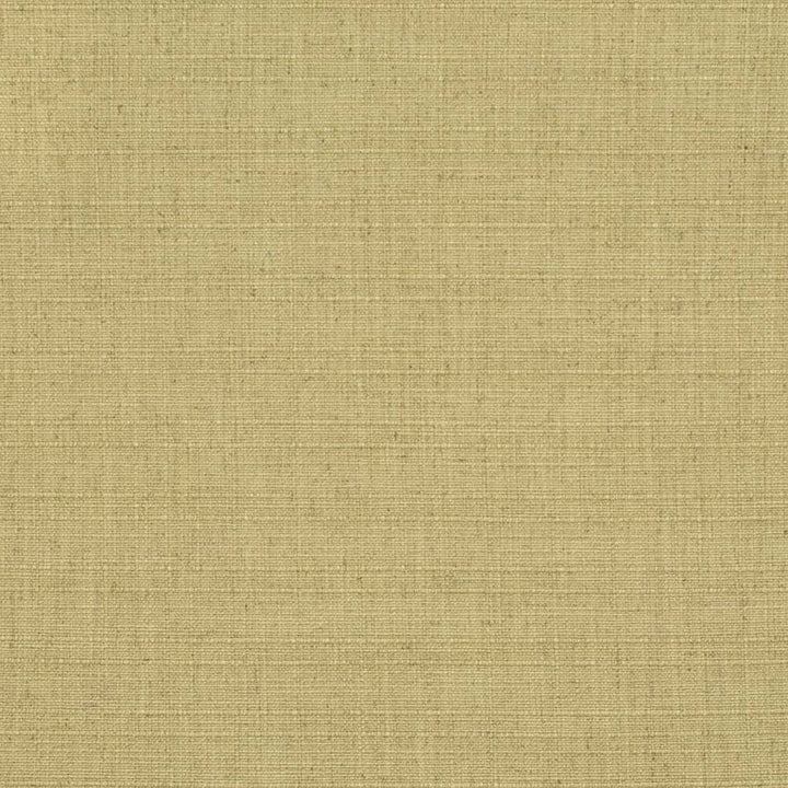 D3680 by Charlotte Fabric Linen Looks 95% Polyester, 5% Linen Asia Exceeds 106,000 Wyzenbeek Rubs (Heavy Duty) No Repeat 54 Inches - Fabric Carolina -