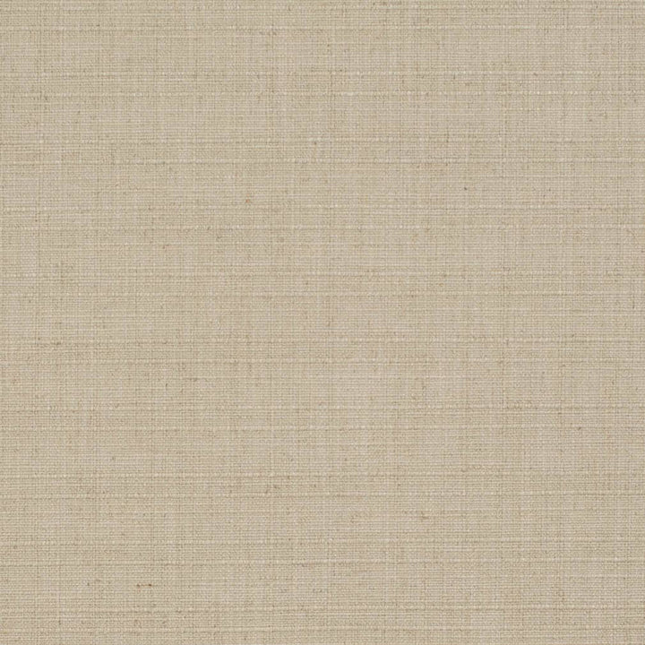 D3685 by Charlotte Fabric Linen Looks 95% Polyester, 5% Linen Asia Exceeds 106,000 Wyzenbeek Rubs (Heavy Duty) No Repeat 54 Inches - Fabric Carolina -
