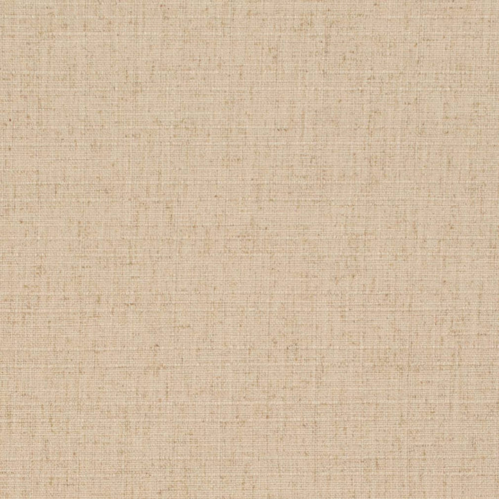 D3688 by Charlotte Fabric Linen Looks 95% Polyester, 5% Linen Asia Exceeds 106,000 Wyzenbeek Rubs (Heavy Duty) No Repeat 54 Inches - Fabric Carolina -
