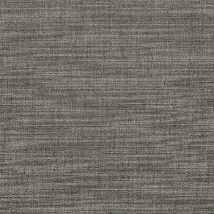 D3691 by Charlotte Fabric Linen Looks 95% Polyester, 5% Linen Asia Exceeds 106,000 Wyzenbeek Rubs (Heavy Duty) No Repeat 54 Inches - Fabric Carolina -
