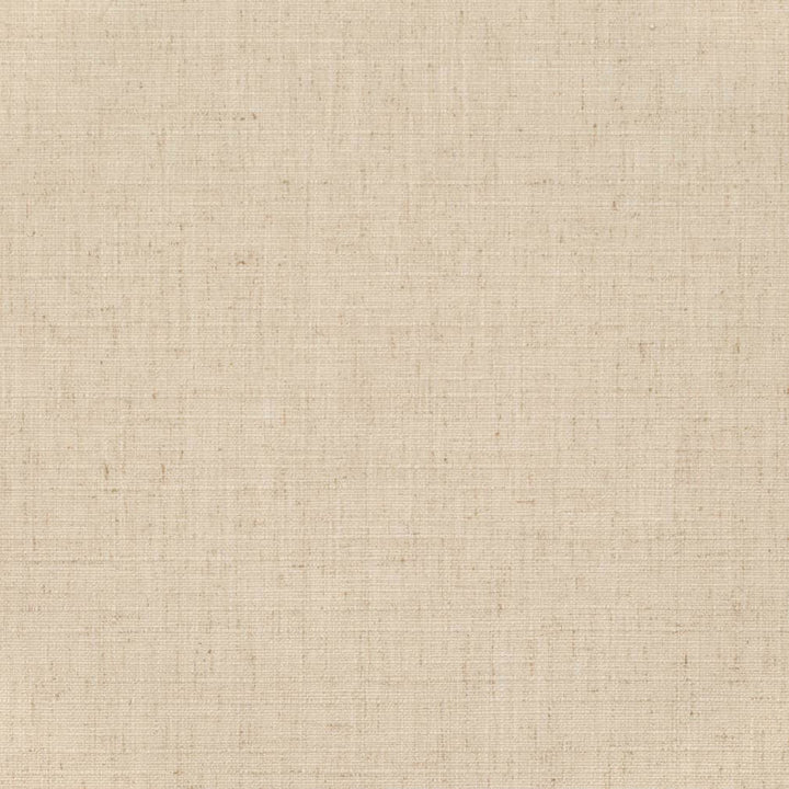 D3693 by Charlotte Fabric Linen Looks 95% Polyester, 5% Linen Asia Exceeds 106,000 Wyzenbeek Rubs (Heavy Duty) No Repeat 54 Inches - Fabric Carolina -