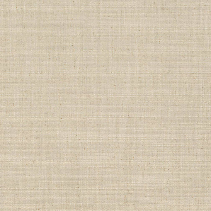 D3704 by Charlotte Fabric Linen Looks 95% Polyester, 5% Linen Asia Exceeds 106,000 Wyzenbeek Rubs (Heavy Duty) No Repeat 54 Inches - Fabric Carolina -