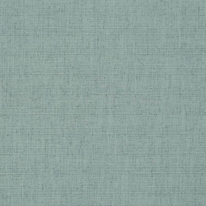 D3707 by Charlotte Fabric Linen Looks 95% Polyester, 5% Linen Asia Exceeds 106,000 Wyzenbeek Rubs (Heavy Duty) No Repeat 54 Inches - Fabric Carolina -