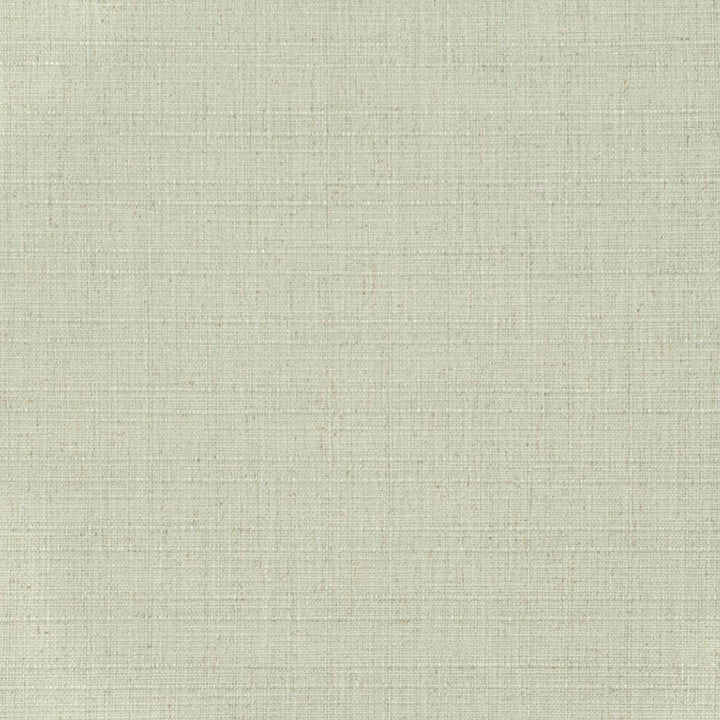 D3709 by Charlotte Fabric Linen Looks 95% Polyester, 5% Linen Asia Exceeds 106,000 Wyzenbeek Rubs (Heavy Duty) No Repeat 54 Inches - Fabric Carolina -