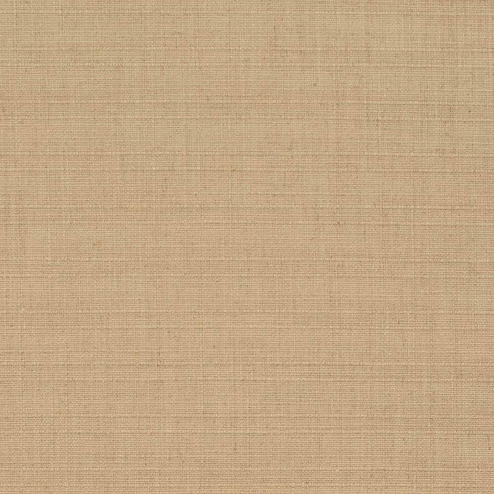 D3710 by Charlotte Fabric Linen Looks 95% Polyester, 5% Linen Asia Exceeds 106,000 Wyzenbeek Rubs (Heavy Duty) No Repeat 54 Inches - Fabric Carolina -