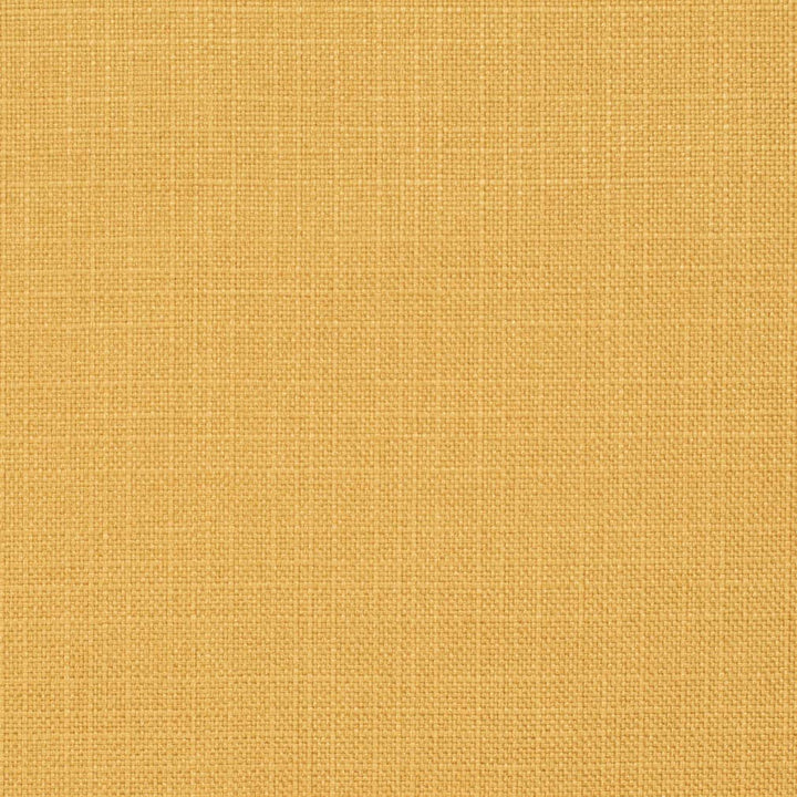 D3711 by Charlotte Fabric Linen Looks 100% Polyester Asia Exceeds 120,000 Wyzenbeek Rubs (Heavy Duty) No Repeat 54 Inches - Fabric Carolina -