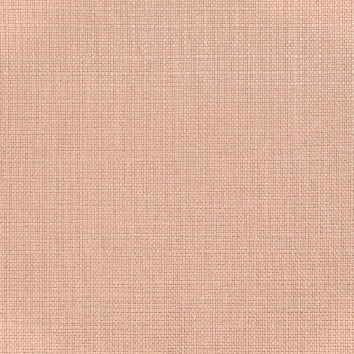D3714 by Charlotte Fabric Linen Looks 100% Polyester Asia Exceeds 120,000 Wyzenbeek Rubs (Heavy Duty) No Repeat 54 Inches - Fabric Carolina -
