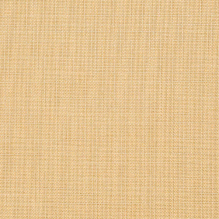 D3715 by Charlotte Fabric Linen Looks 100% Polyester Asia Exceeds 120,000 Wyzenbeek Rubs (Heavy Duty) No Repeat 54 Inches - Fabric Carolina -