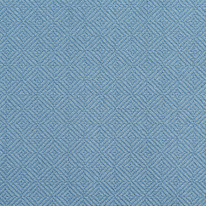 D371 Wedgewood by Charlotte Fabric