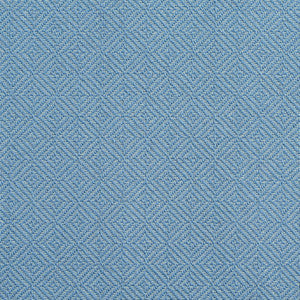 D371 Wedgewood by Charlotte Fabric