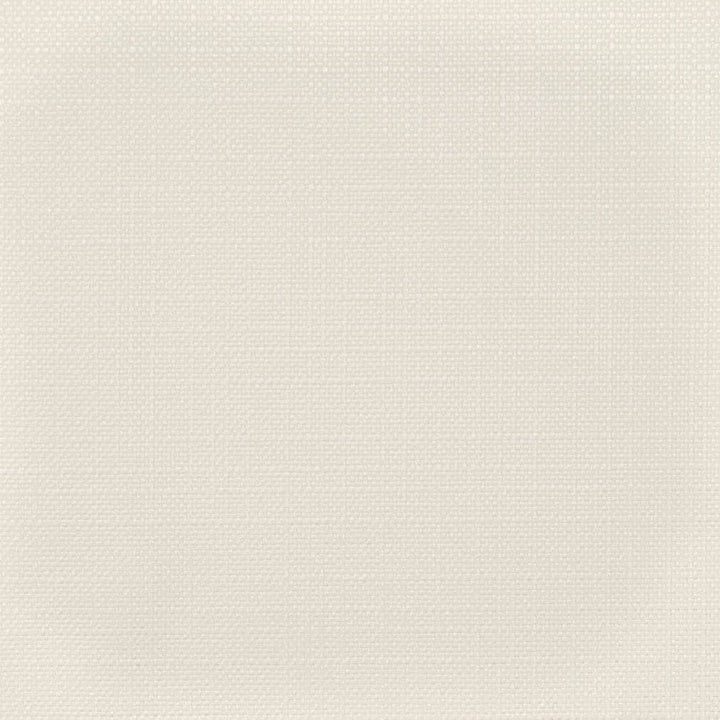 D3720 by Charlotte Fabric Linen Looks 100% Polyester Asia Exceeds 120,000 Wyzenbeek Rubs (Heavy Duty) No Repeat 54 Inches - Fabric Carolina -