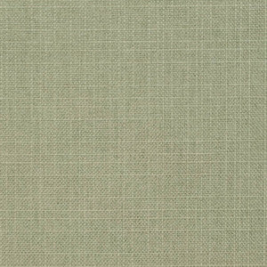 D3738 by Charlotte Fabric
