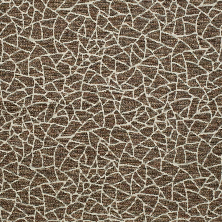 D3752 by Charlotte Fabric Untamed Textures 72% Olefin, 28% Polyester USA Exceeds 60,000 Wyzenbeek Rubs (Heavy Duty) Horizontal 14" x Vertical 12.5" 54 Inches - Fabric Carolina -