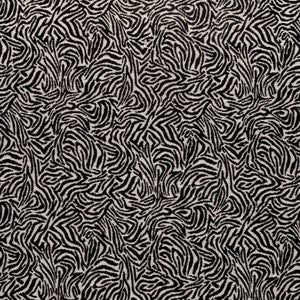 D3770 by Charlotte Fabric