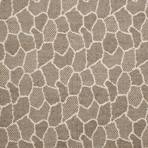 D3782 by Charlotte Fabric