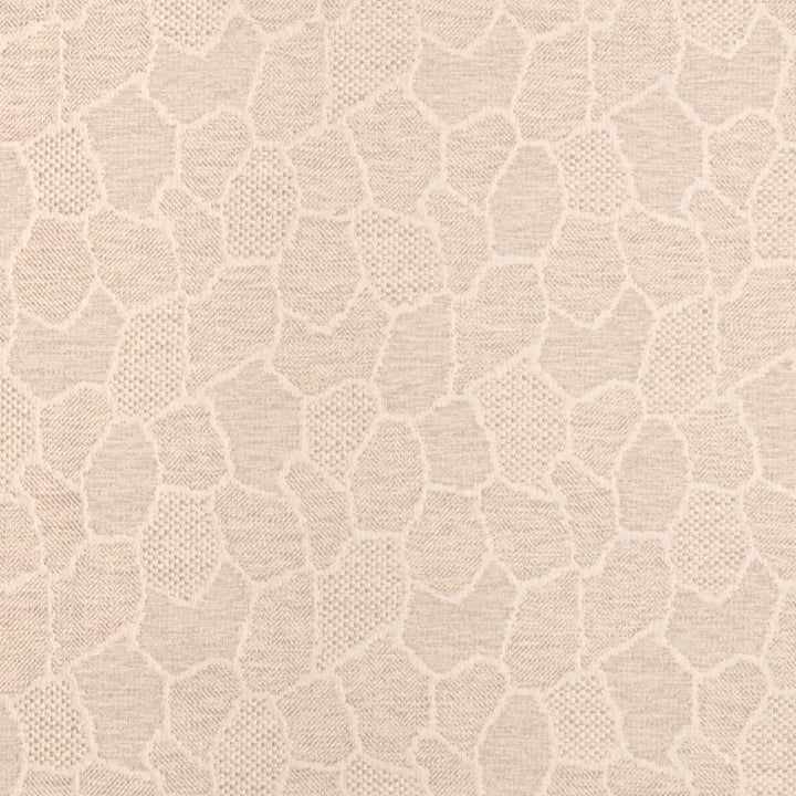 D3783 by Charlotte Fabric Untamed Textures 100% Polyester Asia Exceeds 132,000 Wyzenbeek Rubs (Heavy Duty) Horizontal 14.5" x Vertical 16" 54 Inches - Fabric Carolina -