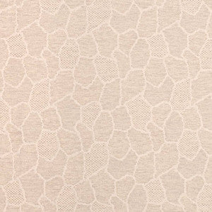 D3783 by Charlotte Fabric