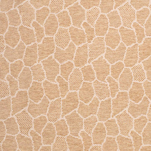 D3784 by Charlotte Fabric