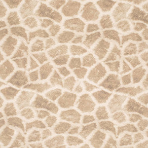 D3785 by Charlotte Fabric