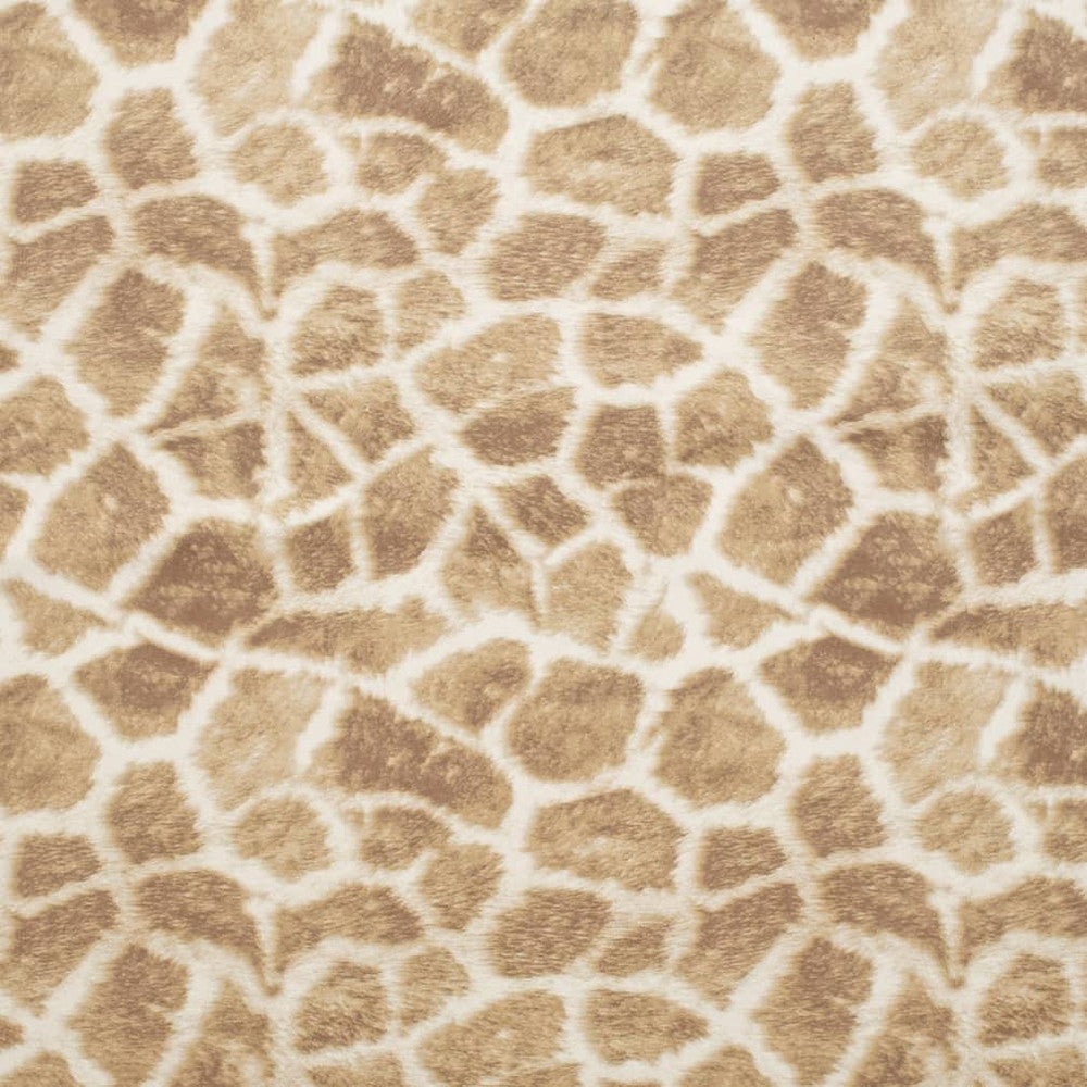 D3786 by Charlotte Fabric Untamed Textures 100% Polyester Asia Exceeds 120,000 Wyzenbeek Rubs (Heavy Duty) Horizontal 14" x Vertical 13.75" 54 Inches - Fabric Carolina -