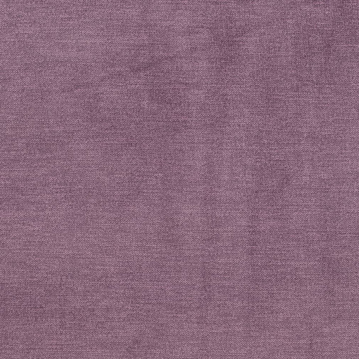 D3827 by Charlotte Fabric Classic Velvet II 90% Polyester, 10% Nylon Asia Exceeds 240,000 Wyzenbeek Rubs (Heavy Duty) No Repeat 54 Inches - Fabric Carolina -