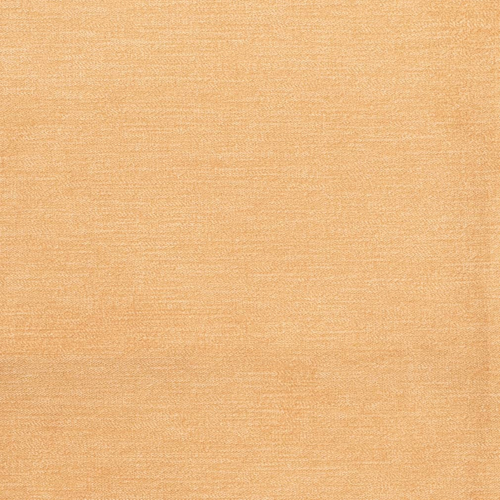 D3830 by Charlotte Designer Fabric Classic Velvet II 90% Polyester, 10% Nylon Asia Exceeds 240,000 Wyzenbeek Rubs (Heavy Duty) No Repeat 54 Inches - Swanky Fabrics -
