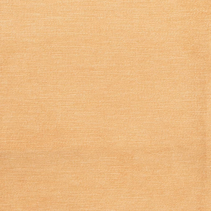 D3830 by Charlotte Designer Fabric Classic Velvet II 90% Polyester, 10% Nylon Asia Exceeds 240,000 Wyzenbeek Rubs (Heavy Duty) No Repeat 54 Inches - Swanky Fabrics -