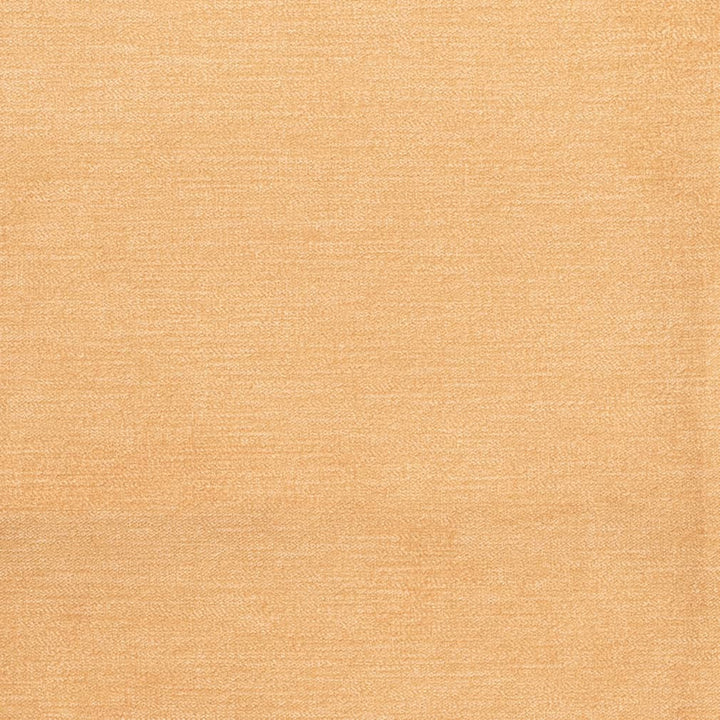 D3830 by Charlotte Fabric Classic Velvet II 90% Polyester, 10% Nylon Asia Exceeds 240,000 Wyzenbeek Rubs (Heavy Duty) No Repeat 54 Inches - Fabric Carolina -