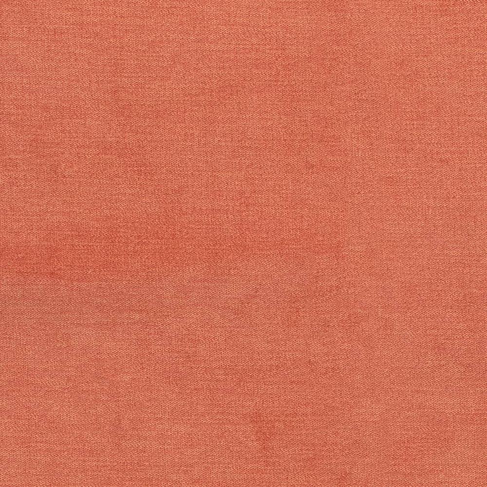 D3831 by Charlotte Fabric Classic Velvet II 90% Polyester, 10% Nylon Asia Exceeds 240,000 Wyzenbeek Rubs (Heavy Duty) No Repeat 54 Inches - Fabric Carolina -