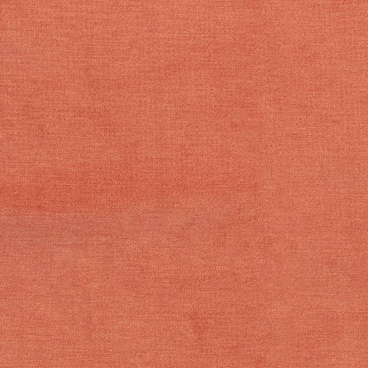 D3831 by Charlotte Fabric Classic Velvet II 90% Polyester, 10% Nylon Asia Exceeds 240,000 Wyzenbeek Rubs (Heavy Duty) No Repeat 54 Inches - Fabric Carolina -