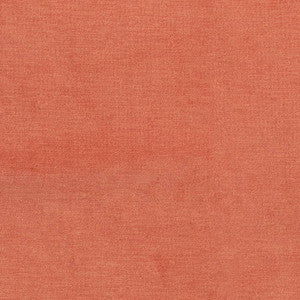 D3831 by Charlotte Fabric