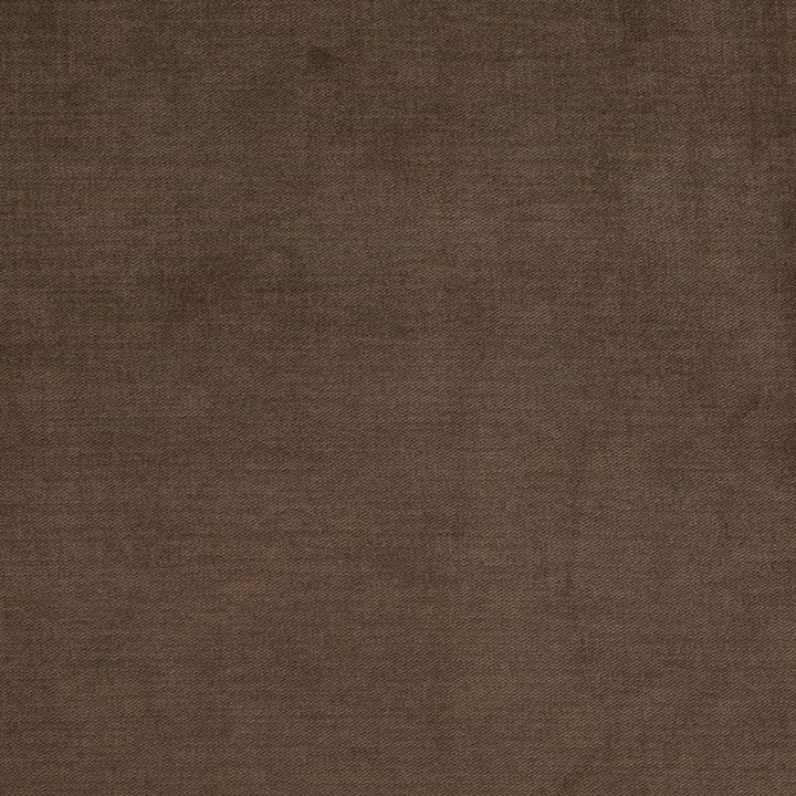 D3832 by Charlotte Fabric Classic Velvet II 90% Polyester, 10% Nylon Asia Exceeds 240,000 Wyzenbeek Rubs (Heavy Duty) No Repeat 54 Inches - Fabric Carolina -