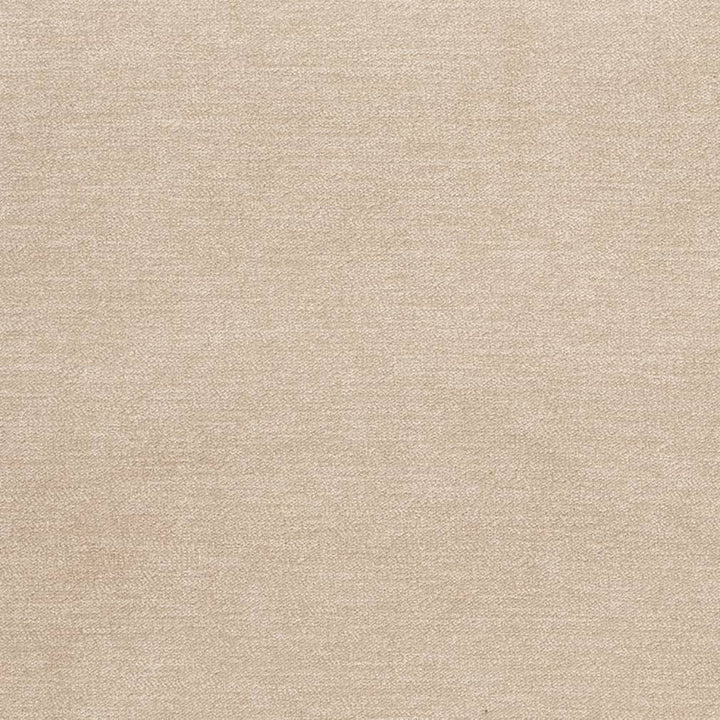 D3835 by Charlotte Fabric Classic Velvet II 90% Polyester, 10% Nylon Asia Exceeds 240,000 Wyzenbeek Rubs (Heavy Duty) No Repeat 54 Inches - Fabric Carolina -